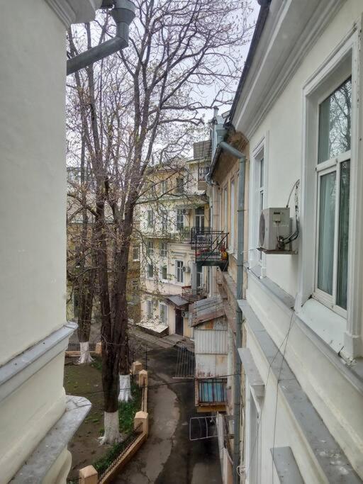 White Door Apartments Heart Of Odessa 1 Esterno foto