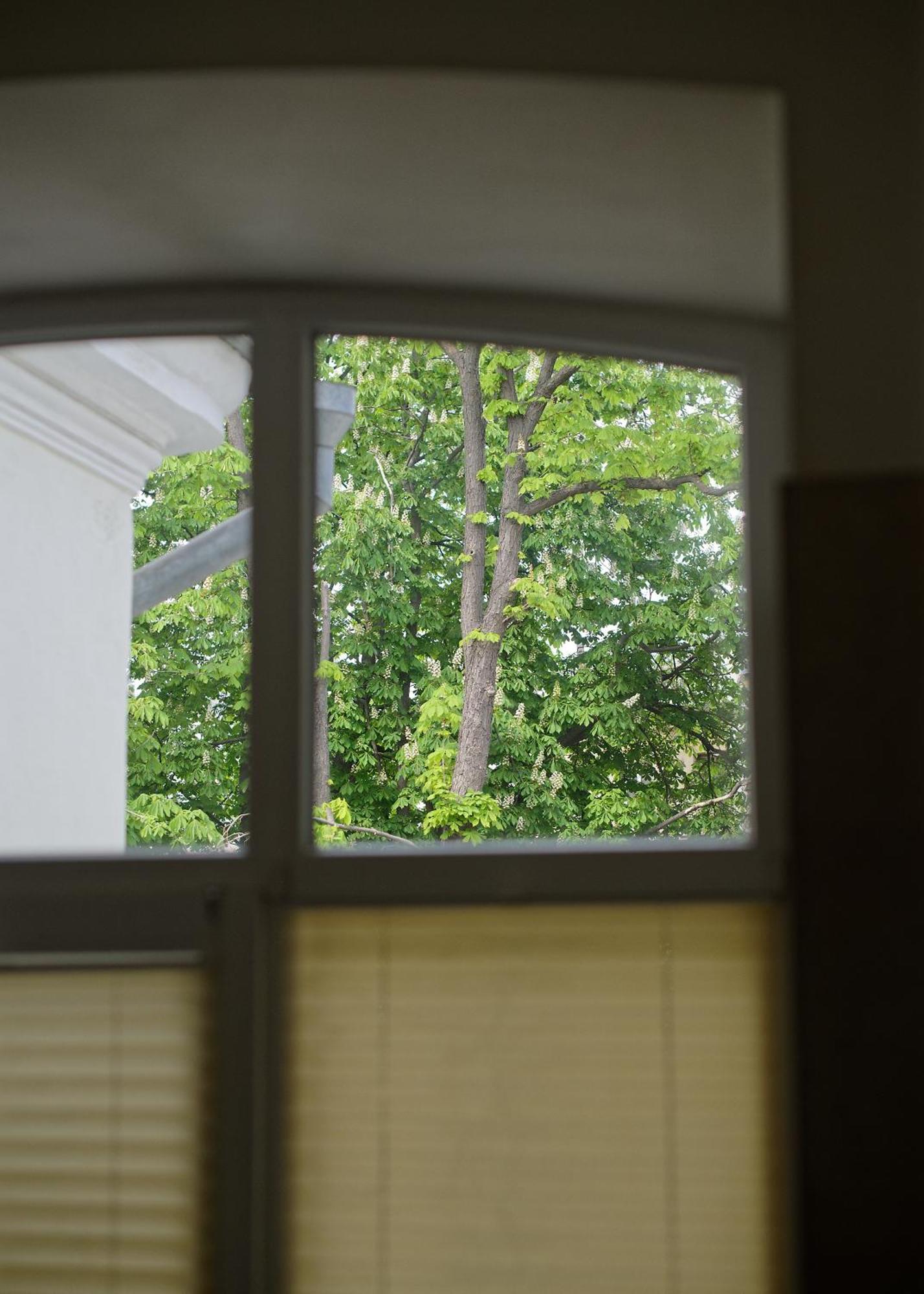 White Door Apartments Heart Of Odessa 1 Esterno foto